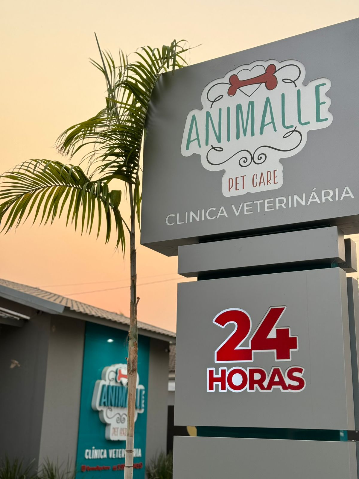 WhatsApp Image 2025-06-23 at 07.40.27